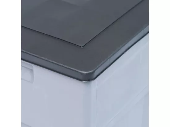 Boîte de rangement de jardin 320 L Gris Noir