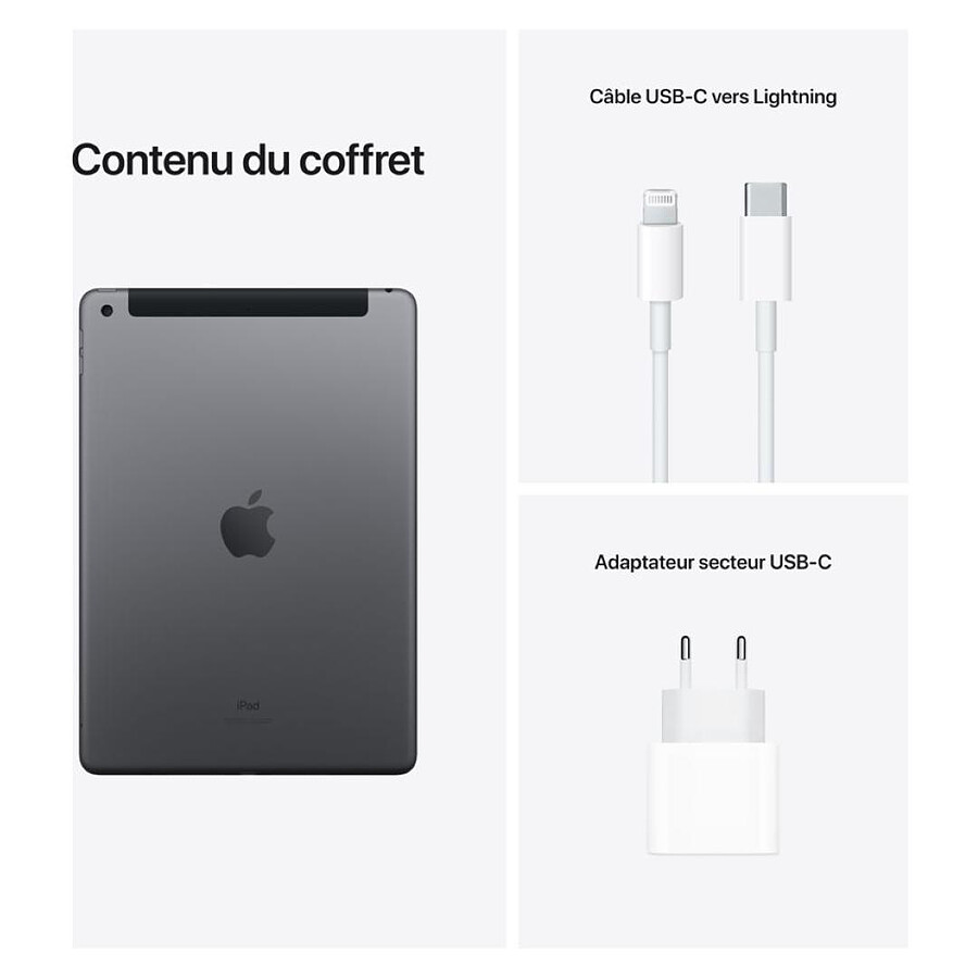 Apple iPad Wi-Fi + Cellular 10.2 - 256 Go - Gris Sidéral (9 ème génération)