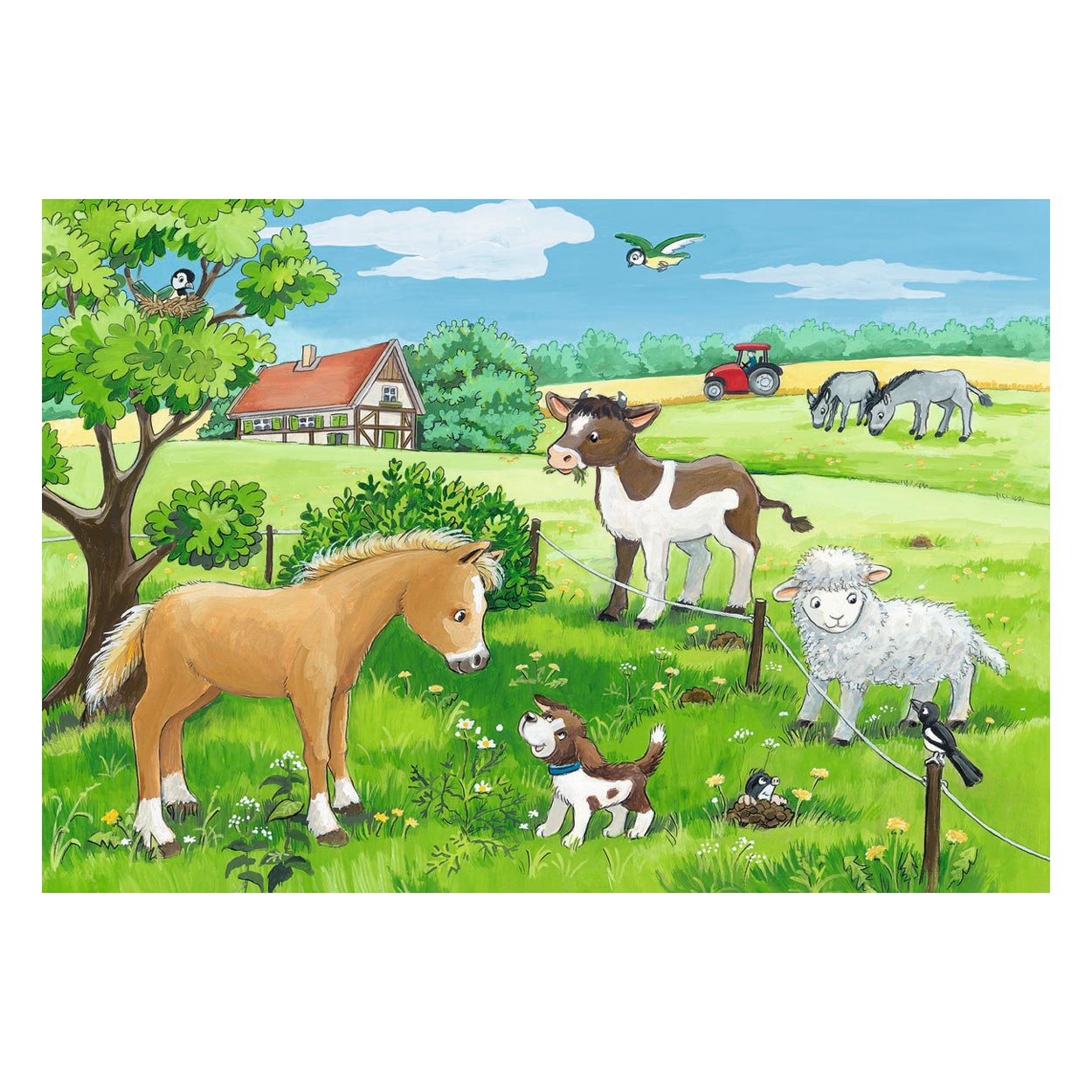 Jonge Dieren op het Platteland, 2x12st.