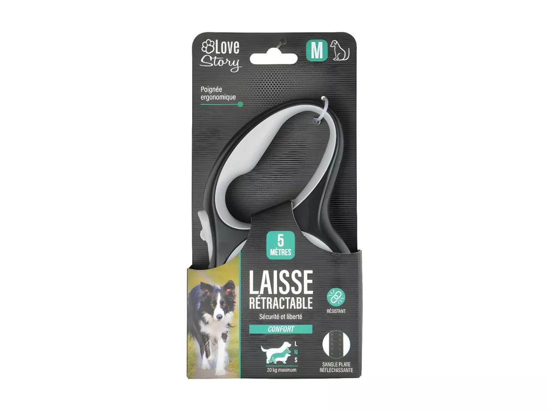 Laisse Rétractable Chien 