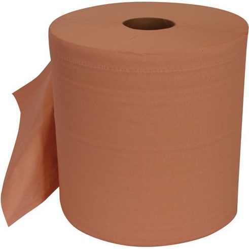 Essuie main bobine 2 plis chamois 1000 formats lot de 2