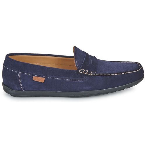 Casual Attitude - VELMO - Marine
