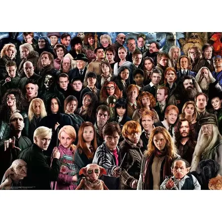 Ravensburger Puzzle Challenge - Harry Potter, 1000 Teile