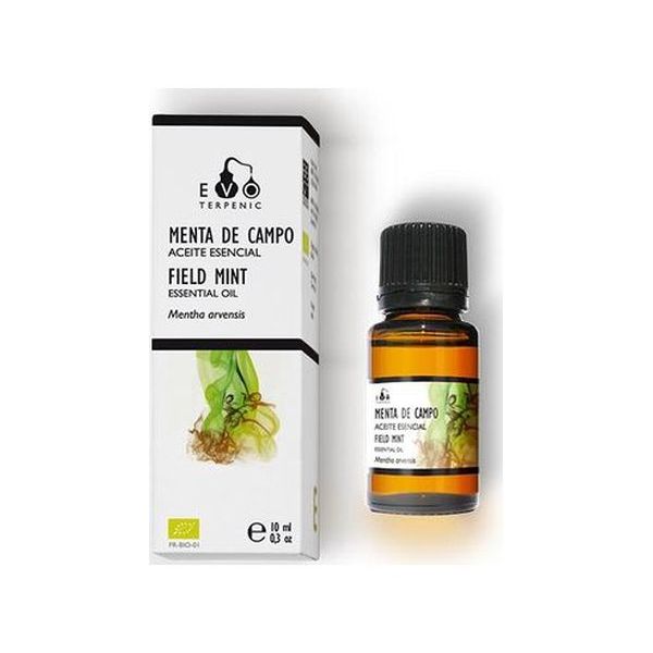 Terpenic Óleo Essencial Hortelã do Campo Frasco Conta-Gotas 10ml