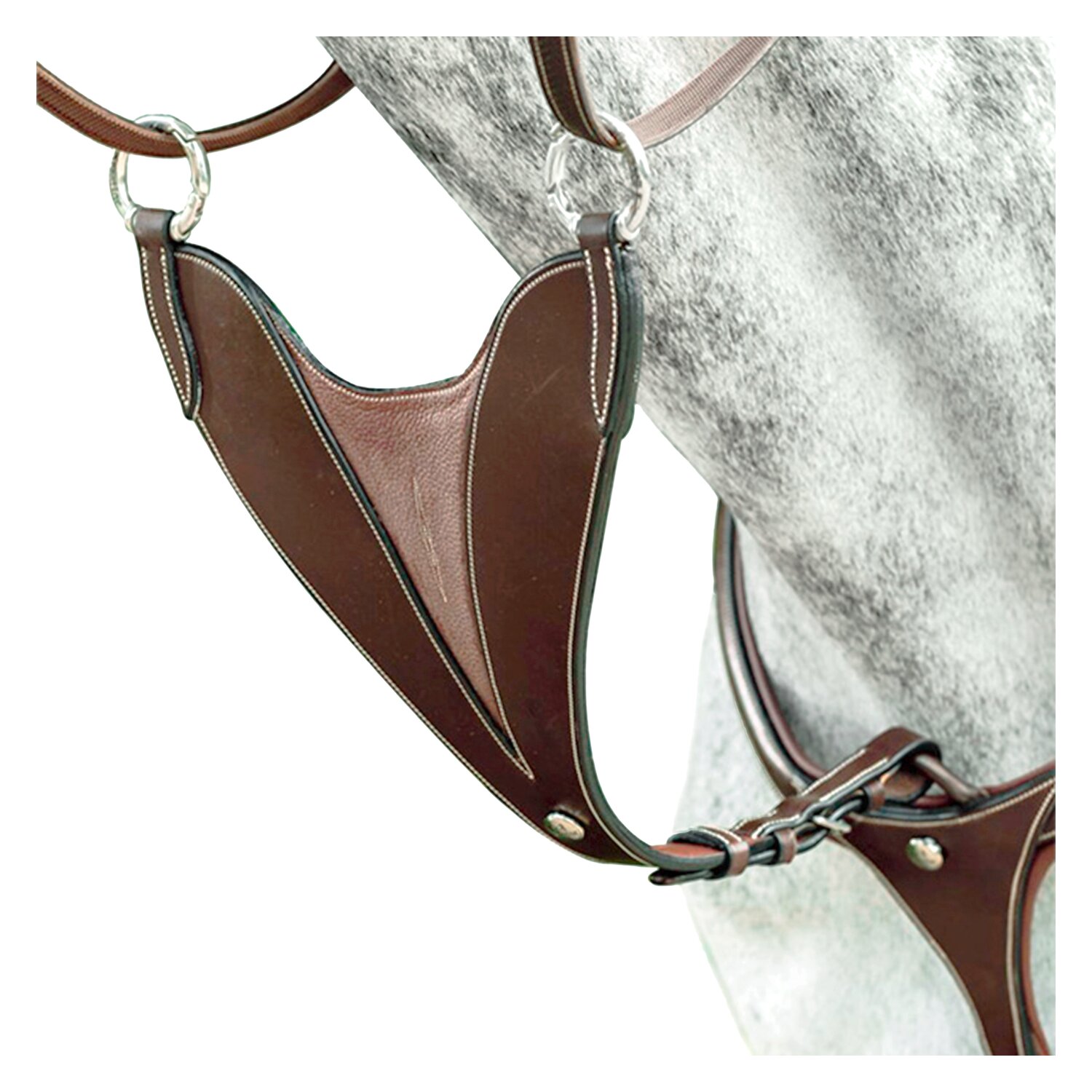 PRESTIGE EVO BIB Martingalgabel  - braun - WB