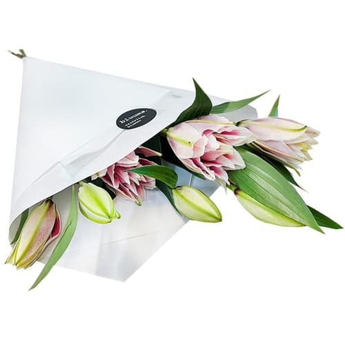 bluums. Lilien rosa