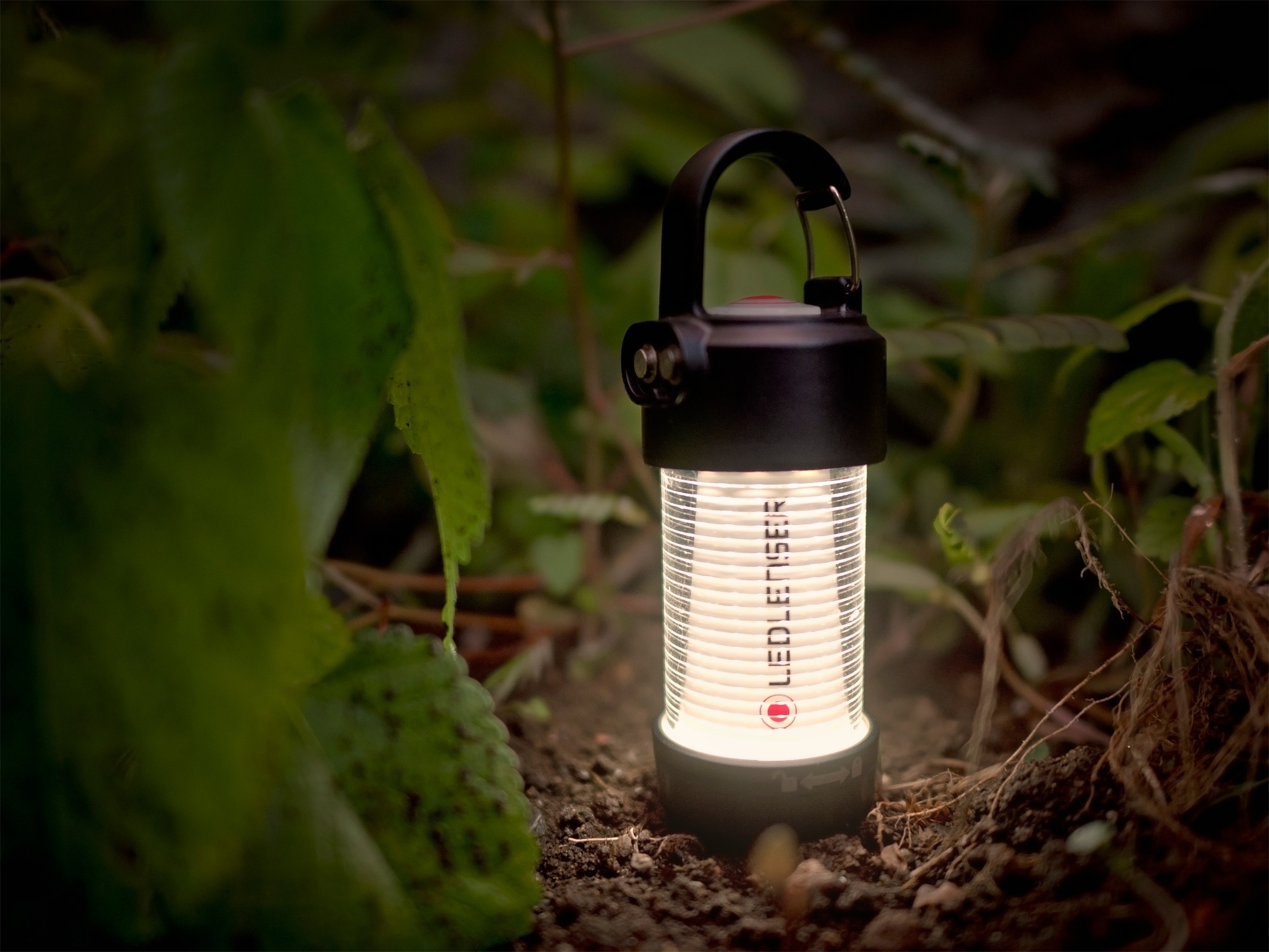 Ledlenser ML4 Laterne warm light schwarz