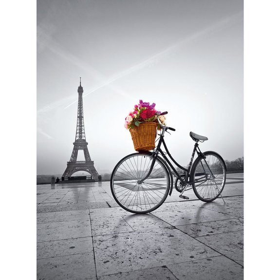 Puzzle 500 pièces - Promenade romantique à Paris