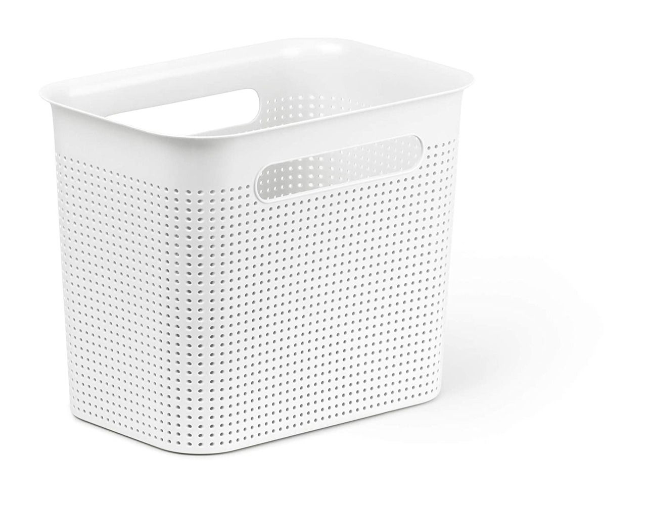 rotho Box BRISEN