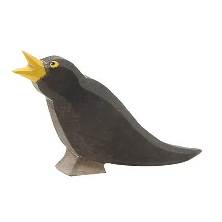Ostheimer Amsel