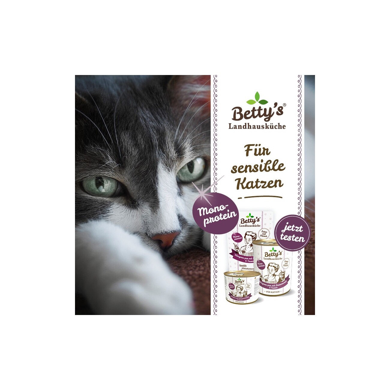 Betty's Landhausküche Frischebeutel Huhn Pur mit Borretschöl 12x 100g für Katze