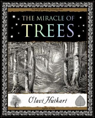 The Miracle of Trees: Their Life and Biology (Paperback)