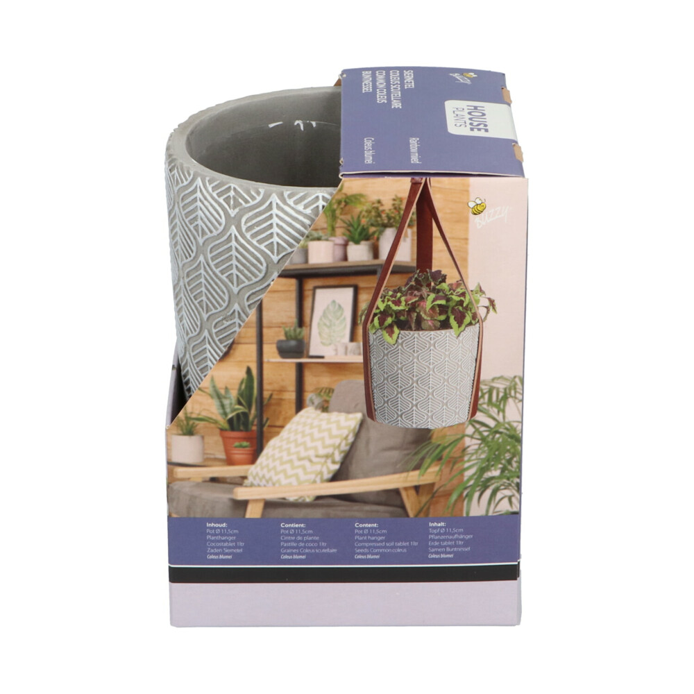 Buzzy House Plants Hangende Plantpot met Coleus zaden