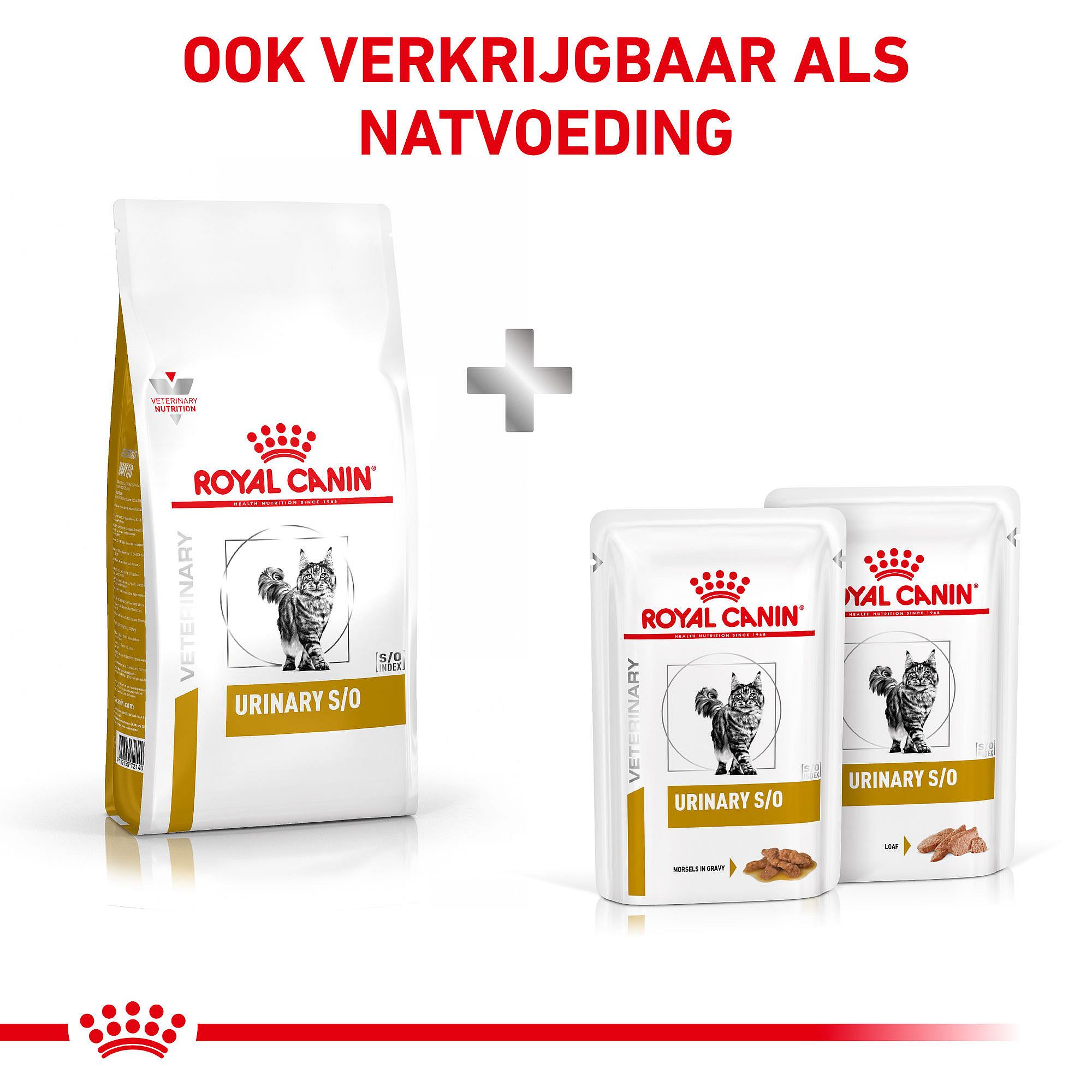 Royal Canin® Urinary S/O kattenvoer kopen | Dierapotheker.nl