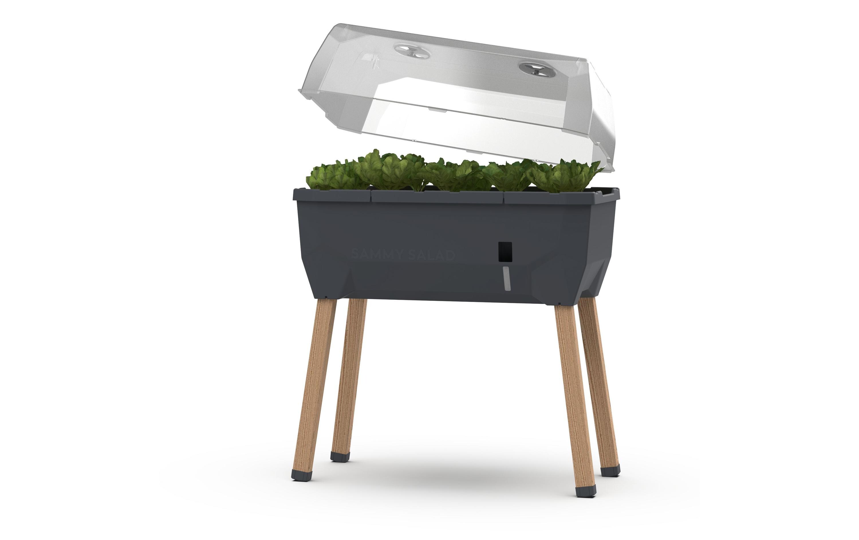 Hochbeet SAMMY SALAD Starterset, AnthrazitHochbeet mit Wassertank und Haube