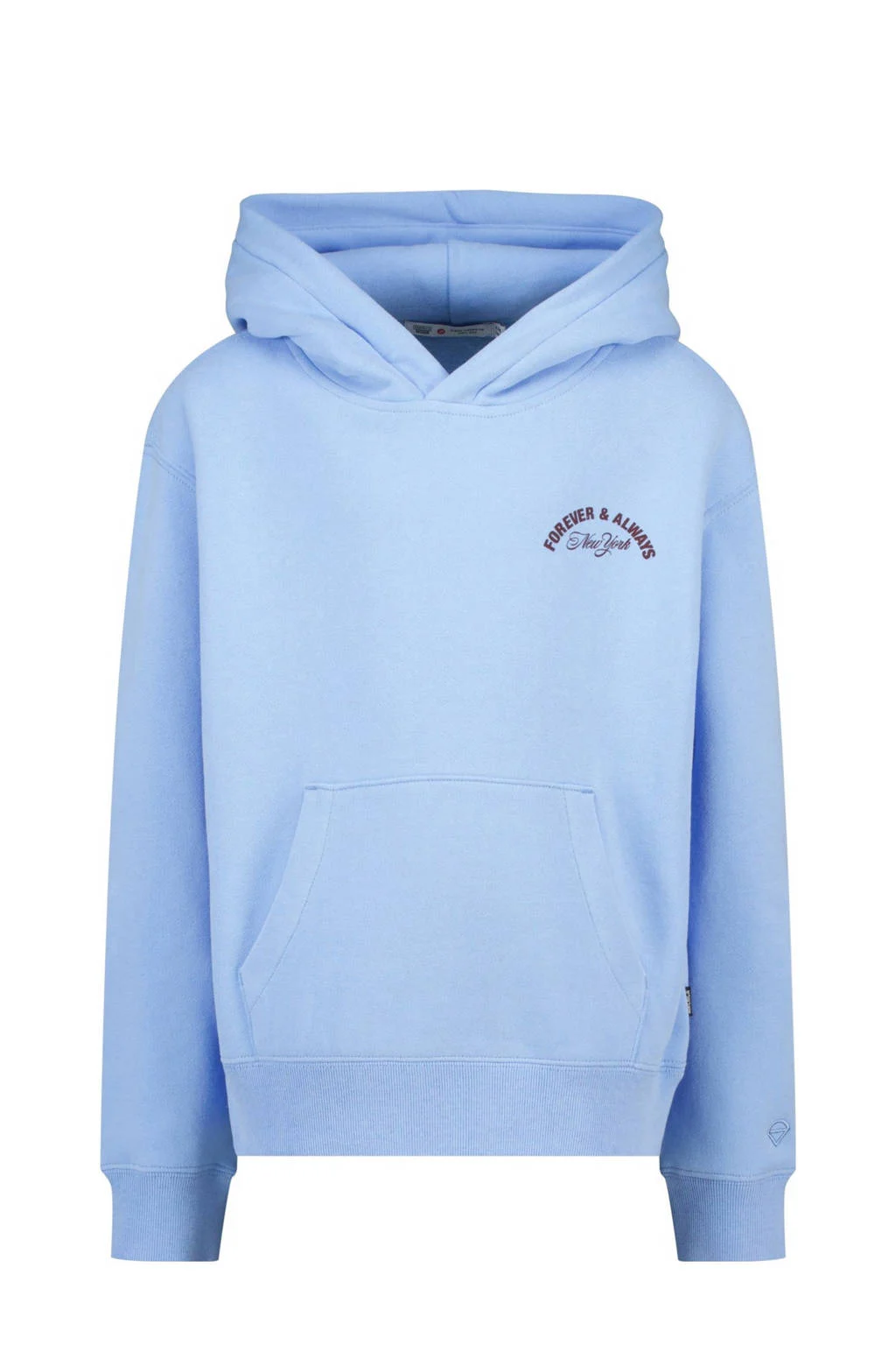 America Today hoodie blauw