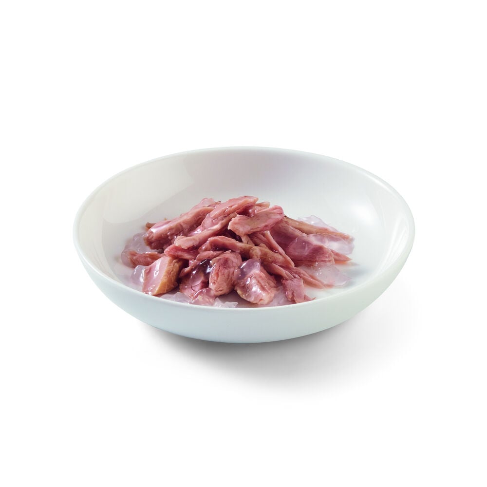 Schesir - Kattenvoer in Gelei - 85 Gram - tonijn