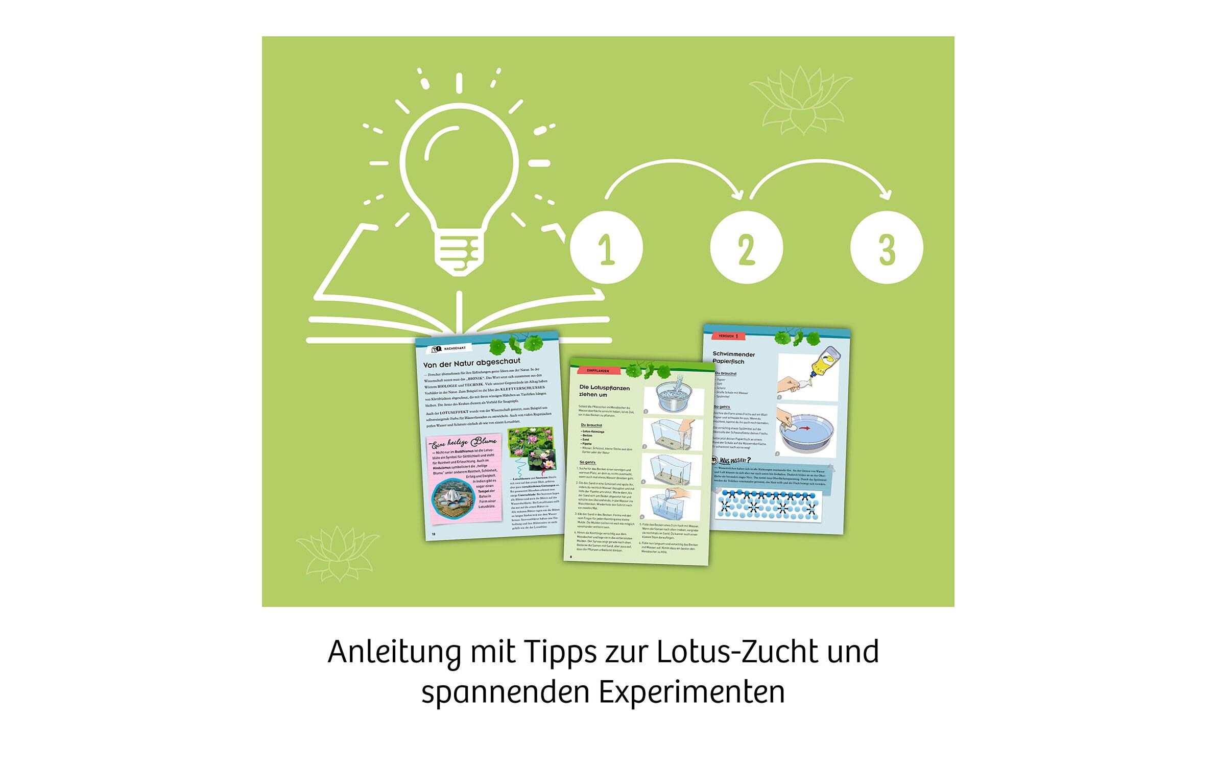 Experimentierkasten LotusblumeEinzigartiges Anzuchtset