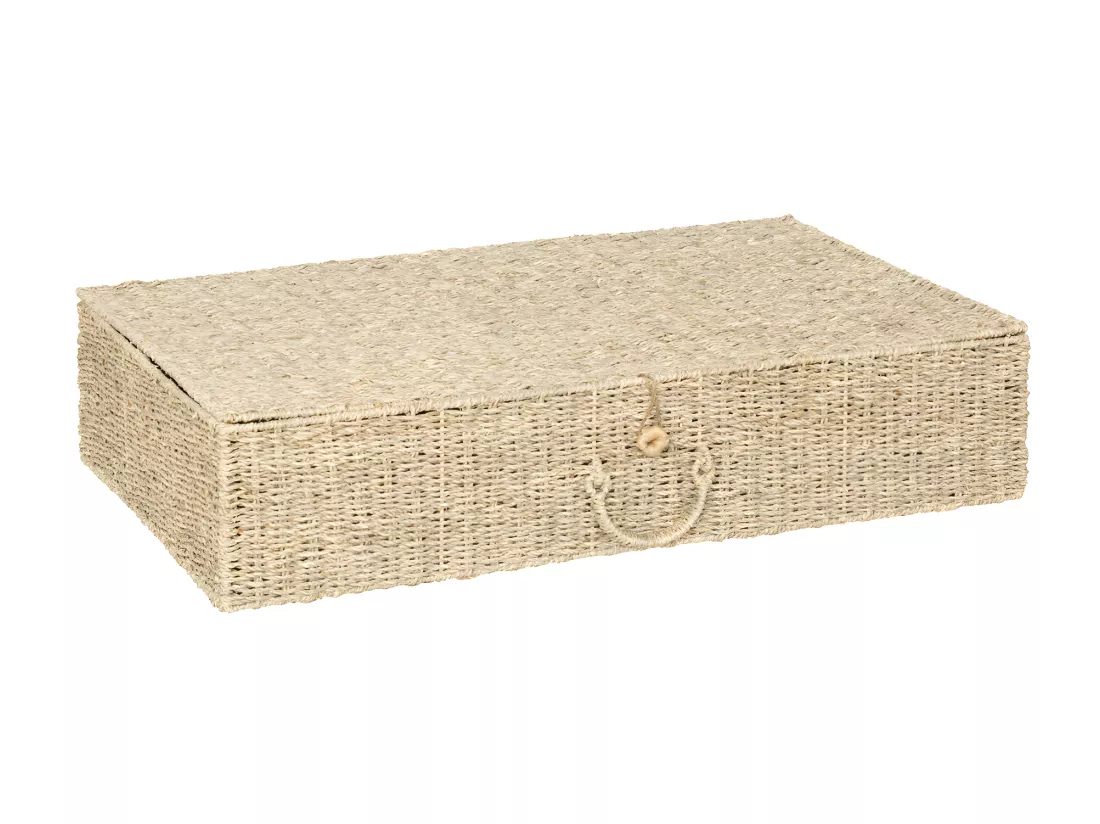 Lot de 2 Grands Paniers de rangement avec couvercle L 80 et L 60 cm