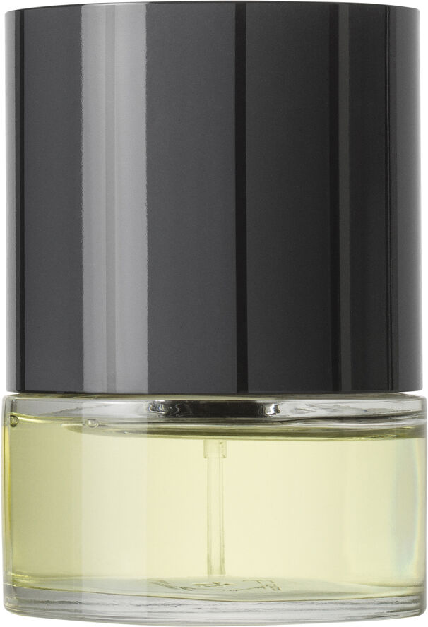 N.C.P Olfactives Facet 102, Ginger & Lime