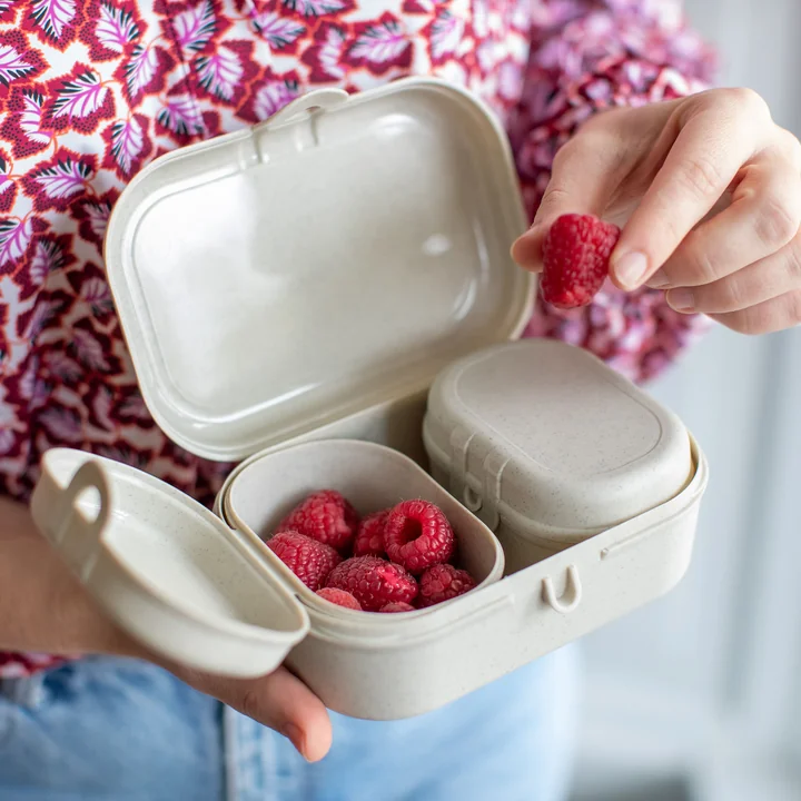 Koziol - Pascal Ready Mini Lunchbox-Set, nature leaf green