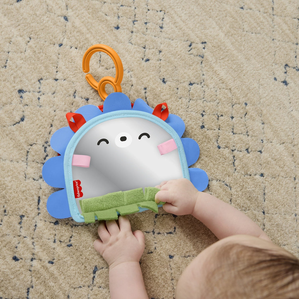 Køb Fisher-Price® Nyfødt 2-i-1 Spejl