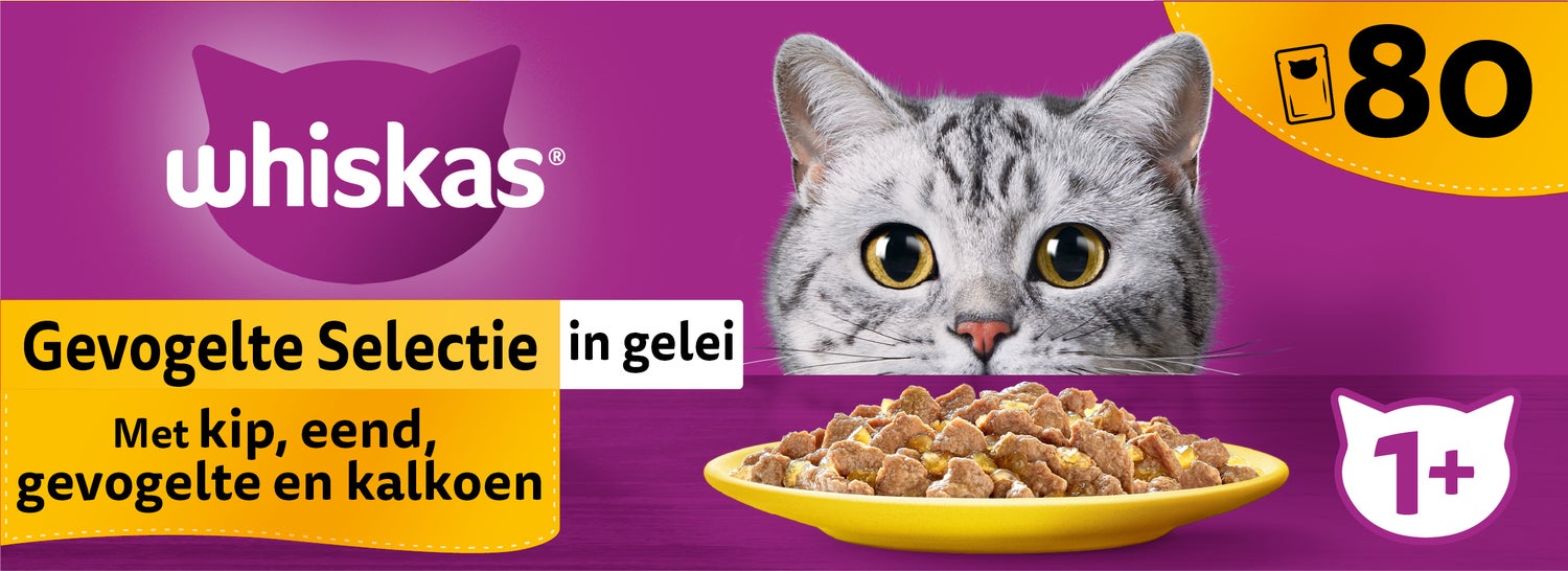 Whiskas kattenvoer in gelei Gevogelte Selectie Adult 85 g 80 stuks