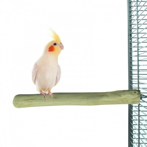Poleiro pequeno para papagaios Cool Parrots Java