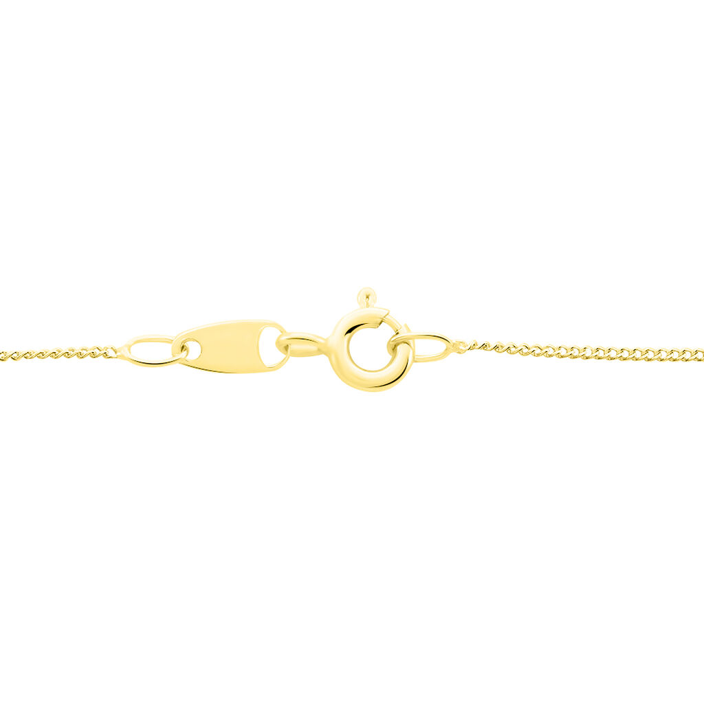 Chaîne Iris Maille Gourmette Or Jaune