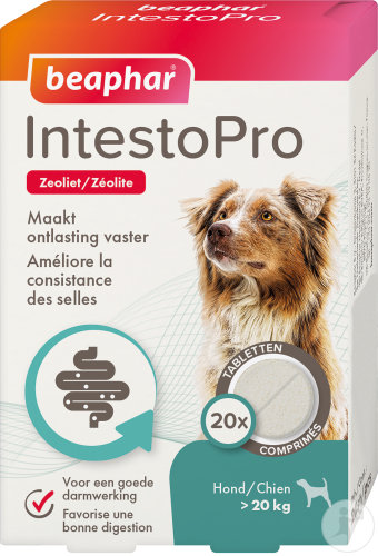 Beaphar IntestoPro Comprimés Chien M/L 20 Pièces