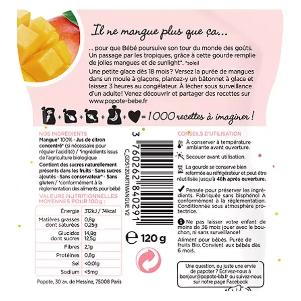 Popote Les Fruits Manga Orgânica em Sachê +6m 120g