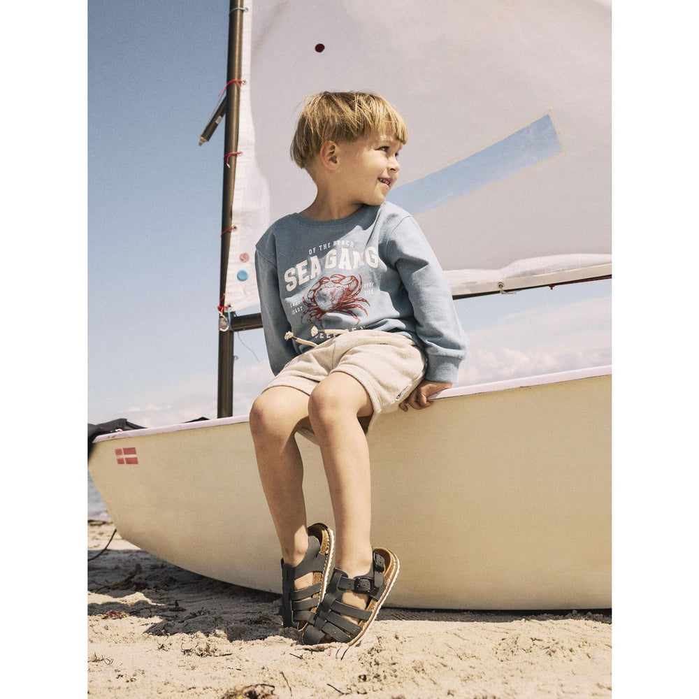 Køb Name It Spring Lake Fabian Regular Sweatshirt