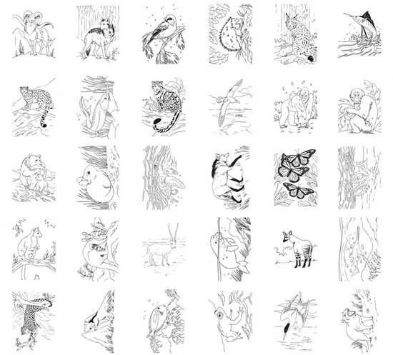 KidyWolf Kidywolf Kidydraw -PAD-dieren-8+
