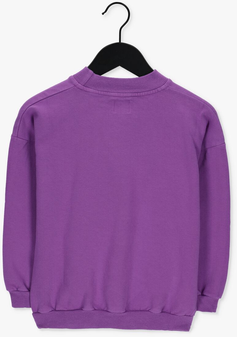 L\u00D6TIEKIDS paarse l&ouml;tiekids sweater w22-85-26