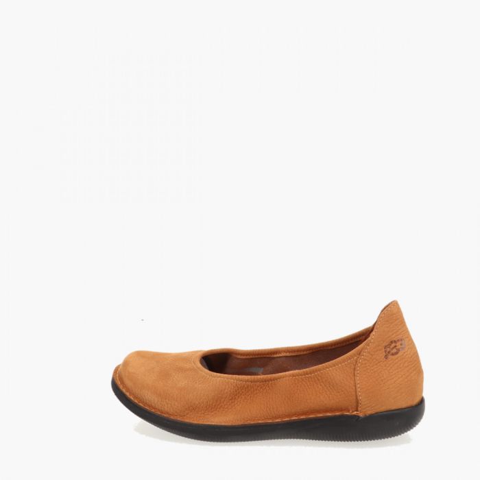 Nessersluis black sole