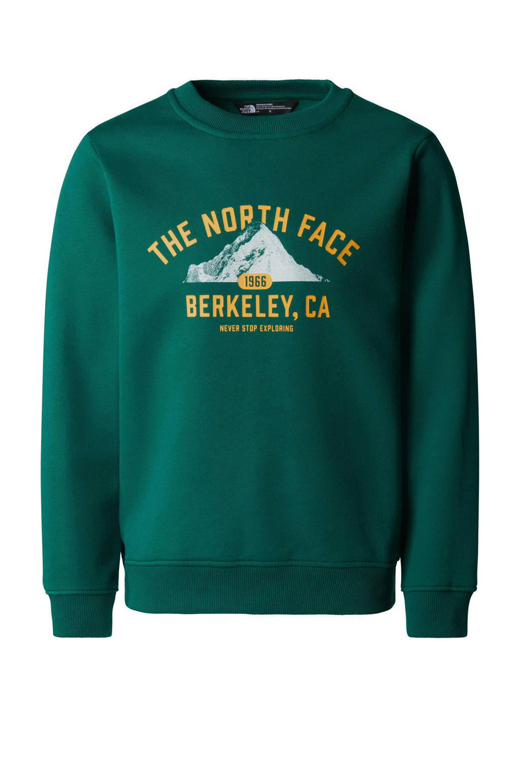 The North Face sweater groen