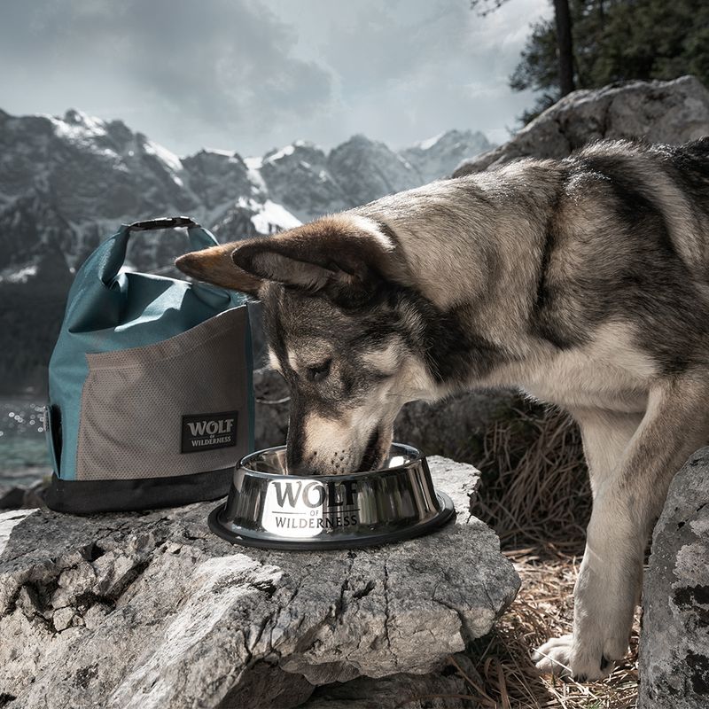 Gamelle en inox Wolf of Wilderness