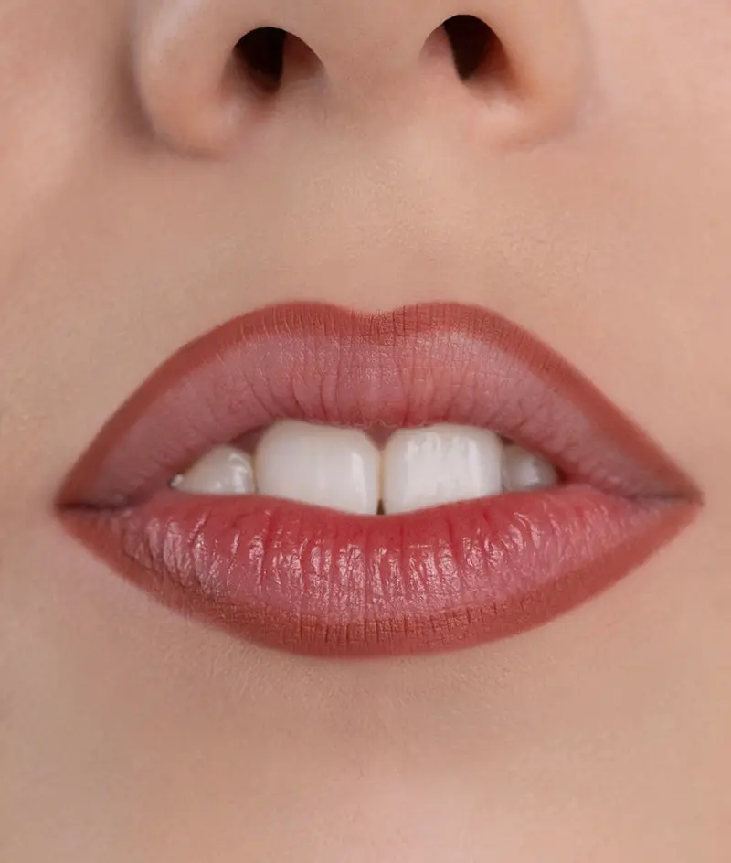 Work Wife Lip Liner