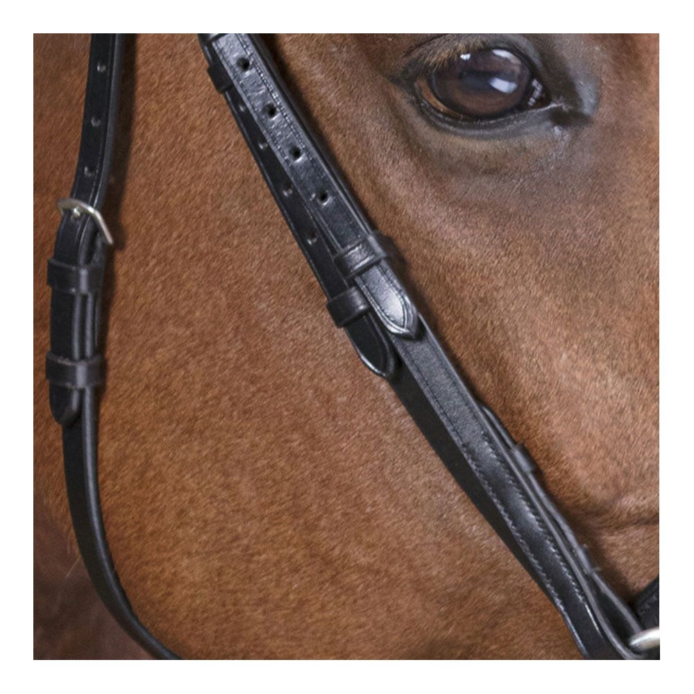 Norton VAGUE - Bridon noir