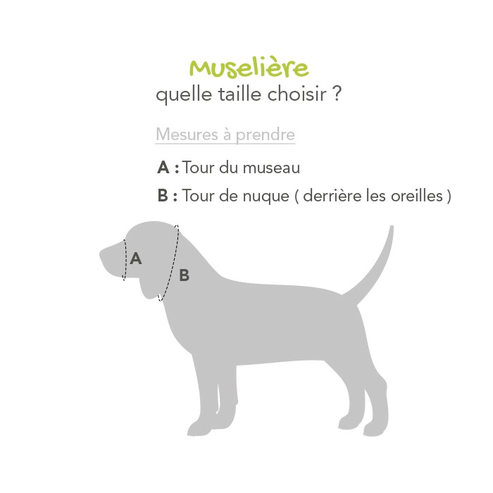 Muselière pour museau court