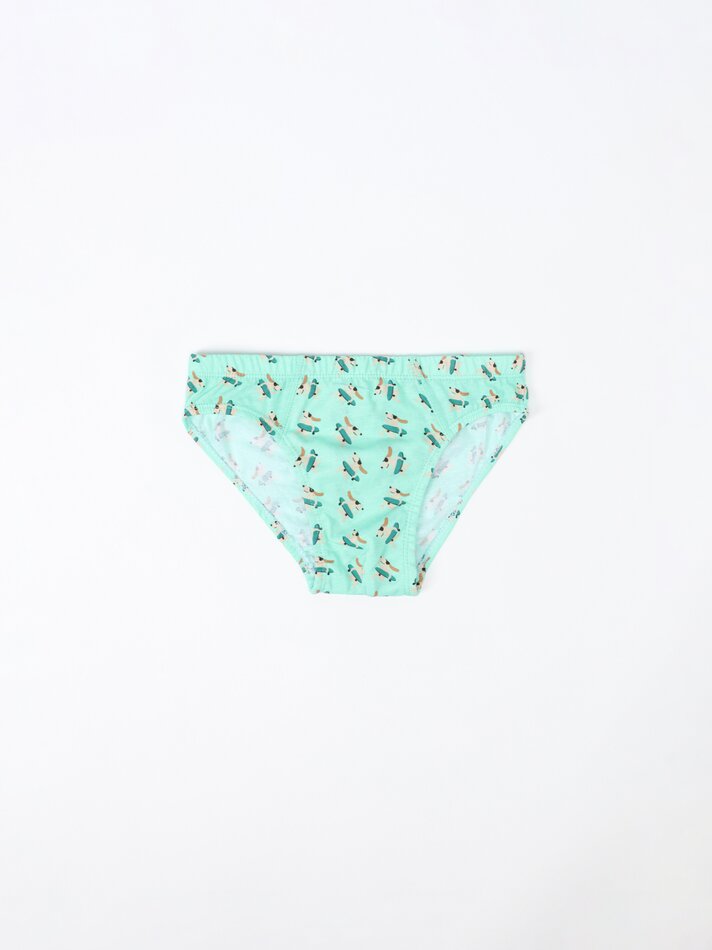 Pacote com 7 cuecas estampadas - Cores Variadas