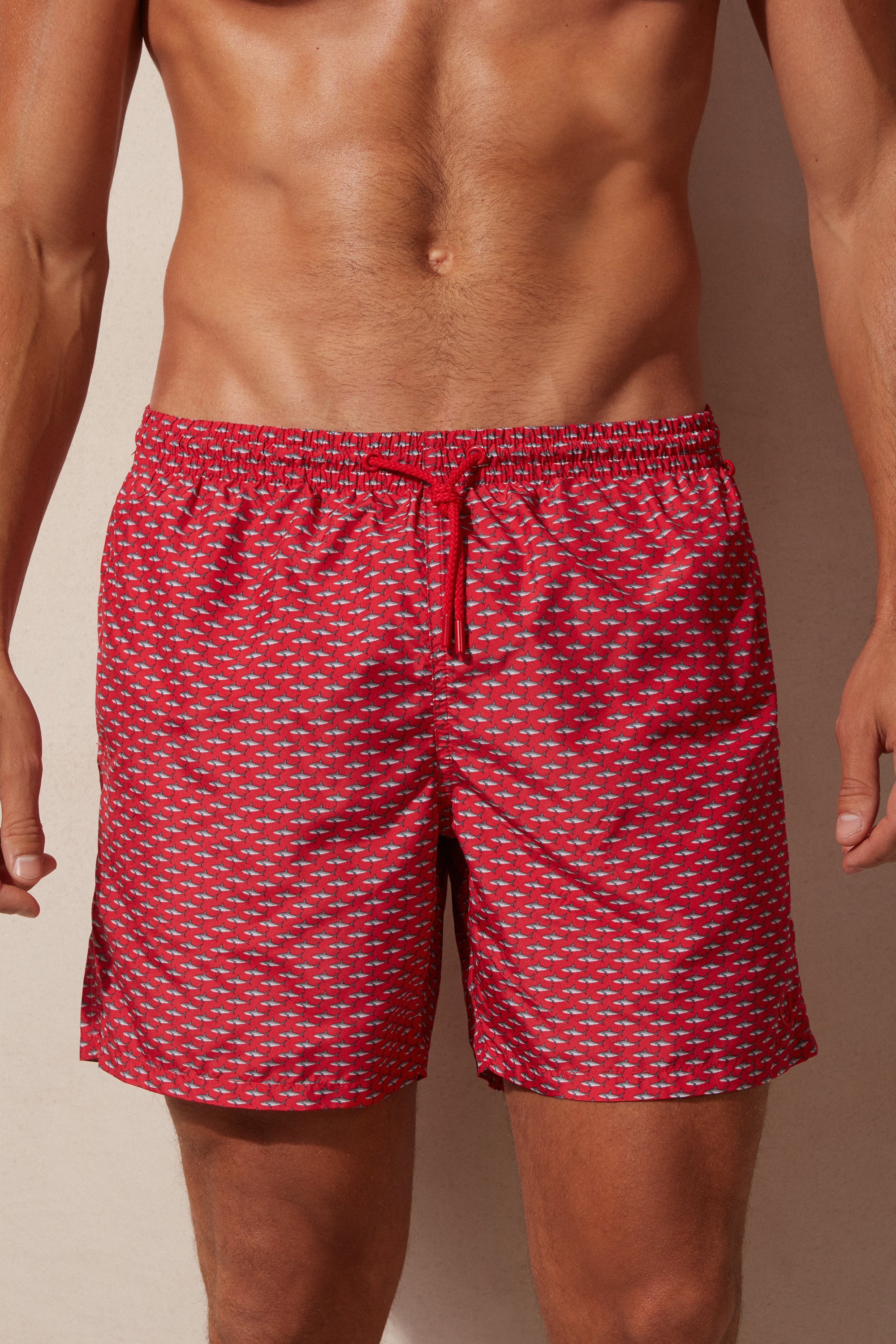 Maiô boxer com estampa de microtubarões