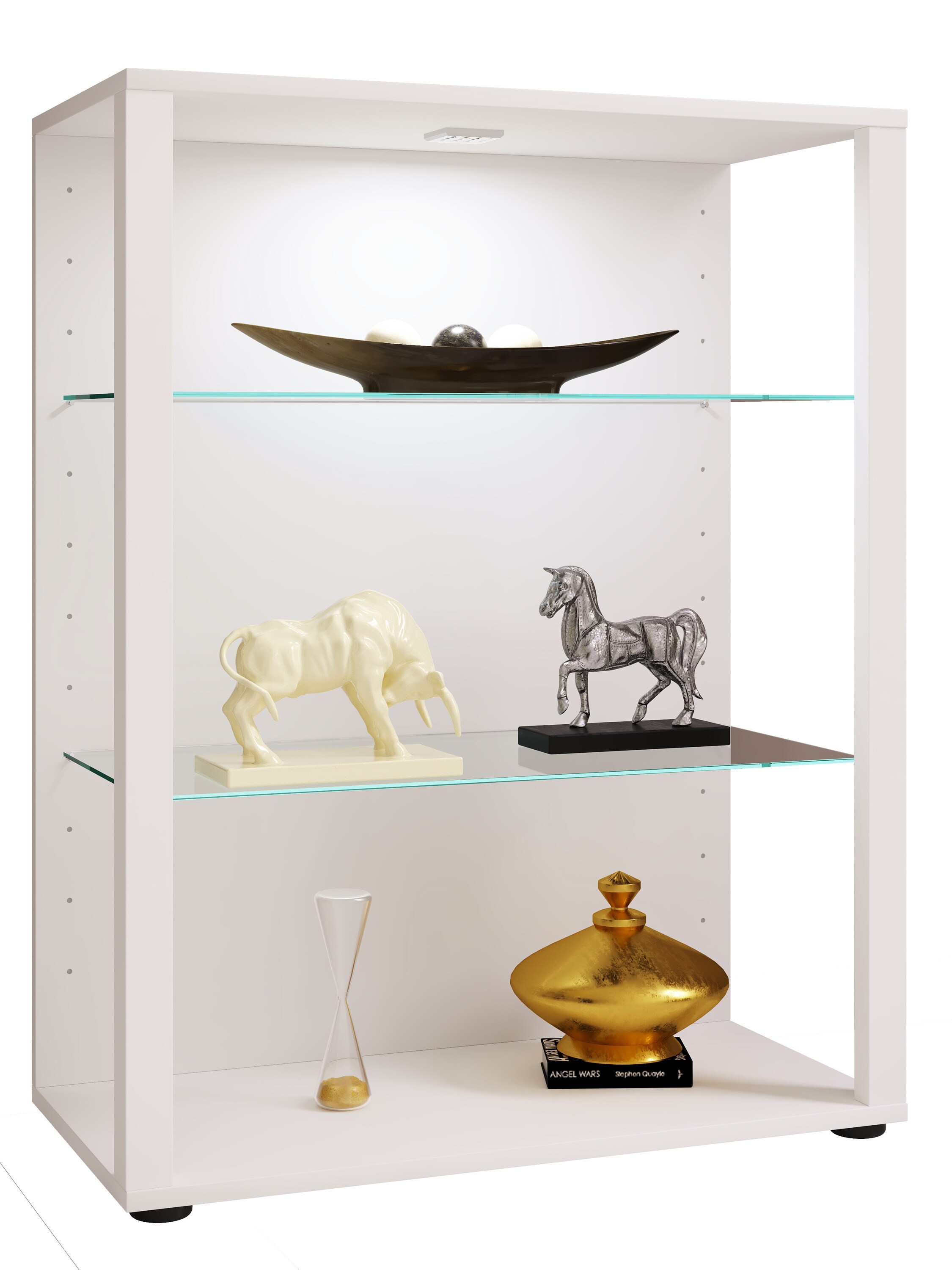 VCM Holz Glas Vitrine Sammelvitrine Glasvitrine Schaukasten Standvitrine Glasol L