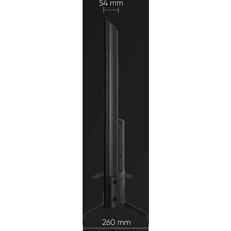 Prosonic 55