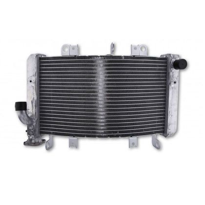 Radiateur Brazoline A EAU ADAPTABLE