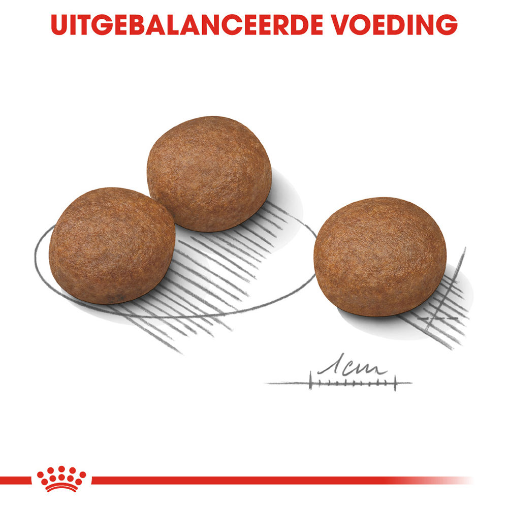 Royal Canin Medium Digestive Care - Hondenvoer