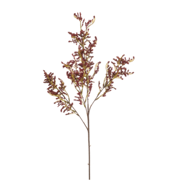 Statice spray rood 78cm