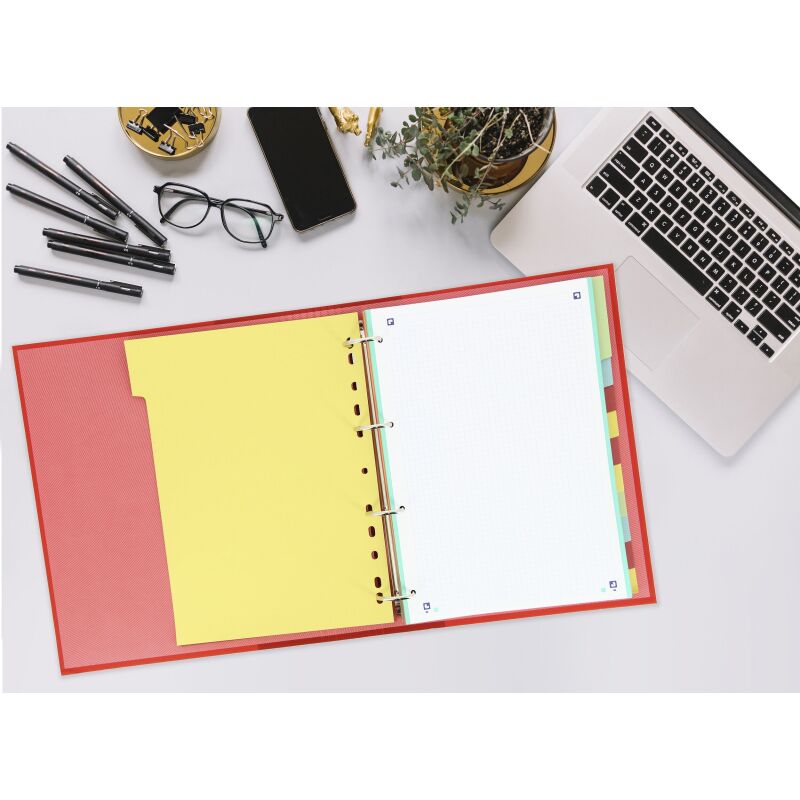 Intercalaires neutres A4 12 positions carte forte 160g assorti
