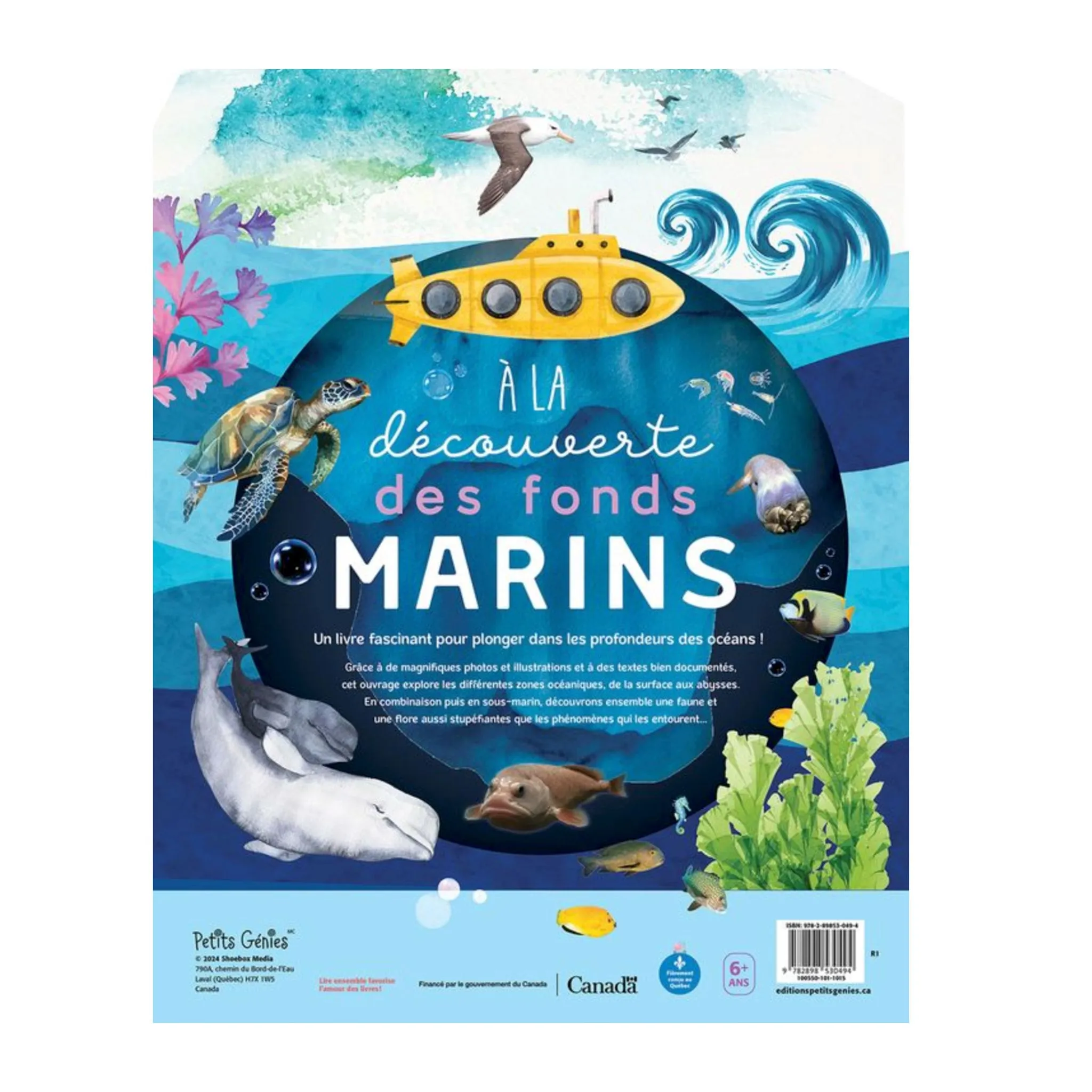 Prologue À La Découverte des Fonds Marins