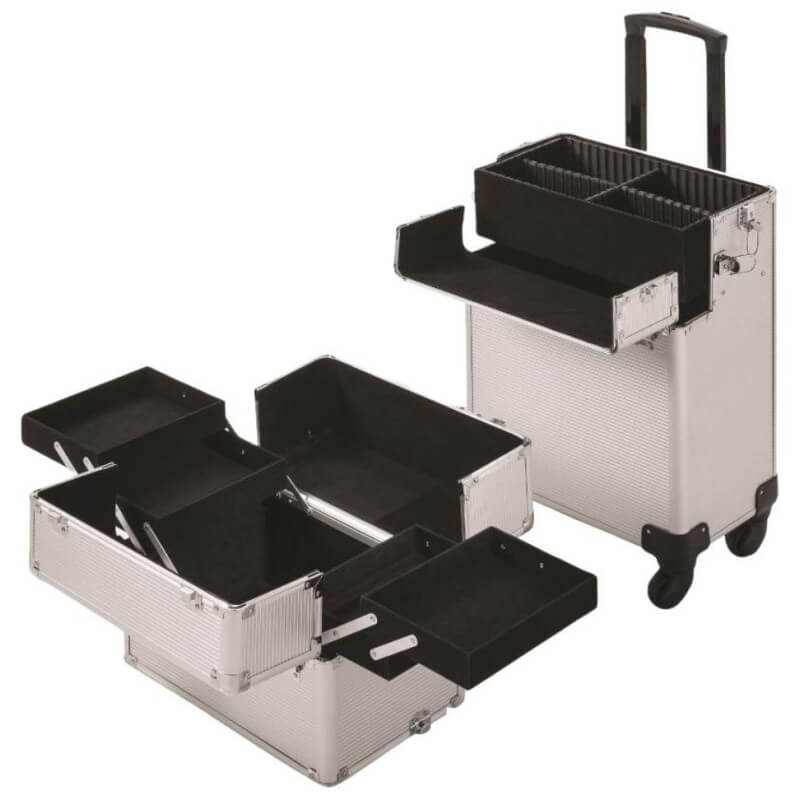 Valise Esthétique Expert Silver line